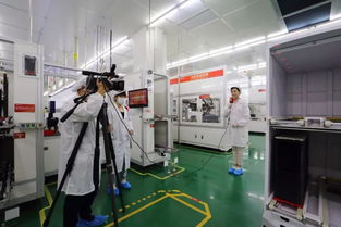 成都智造 探秘通威無人工廠，解碼四川清潔能源新興技術
